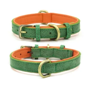 Custom Personalized Pet Dog Collars Leashes Luxury Nylon Dog Collar