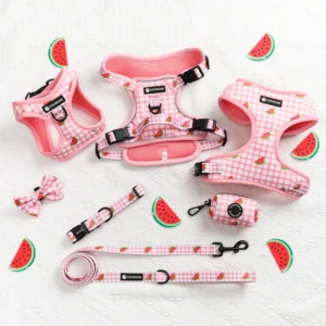 Custom Personalized Pet Harnesses Luxury Neoprene Dog Harness Set Adjustable Dog Harness Leash Collar Bandana Bow Tie Poop Bag
