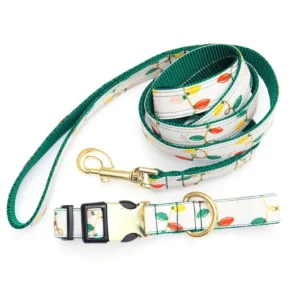 Custom Personalized Premium Pet Products Other Pet Collars & Leashes