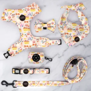 Custom Pet Dog Harness Leash and Collar Set with Custom Designs