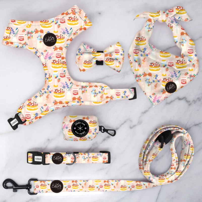 Custom Pet Dog Harness Leash and Collar Set with Custom Designs