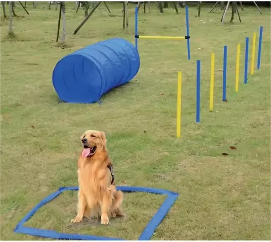 Custom Pet Exercise Training Product Dog Training Set Plastic Stainless Steel Pet Agility Training Tunnel Poles Equipment
