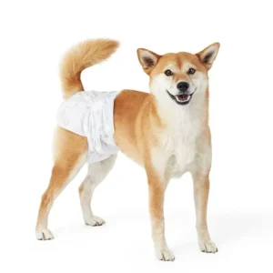 Custom Pet Products Disposable Eco Friendly Absorbent Disposable Dog Nappies Pet Diapers for Male Dogs