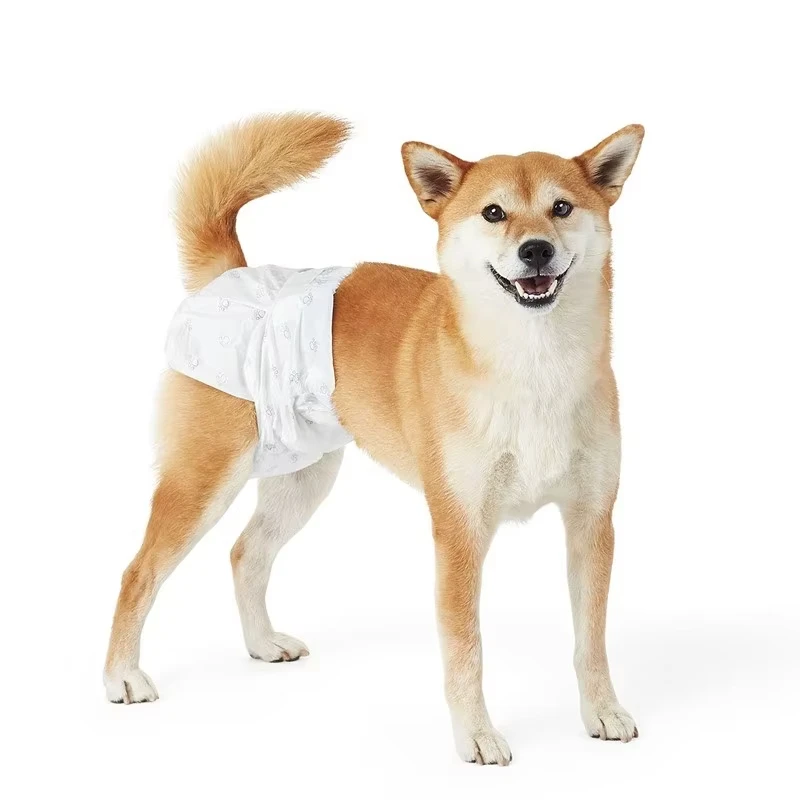 Custom Pet Products Disposable Eco Friendly Absorbent Disposable Dog Nappies Pet Diapers for Male Dogs