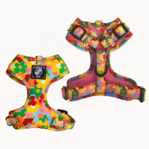 Custom Pet Supplies New Designer Dog Harness Lead Set Luxury Accessoires Pour Chien Pet Collars Leashes Harnesses