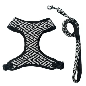 Custom Polyester Dog Harness Leash Collar Set for Small and Medium Dogs Walking Anti-Lost