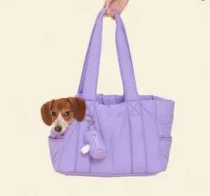 Custom Portable Airline Approved Dog Cat Durable Pet Outdoor Travel Transport Dog Consignment Carrier Box