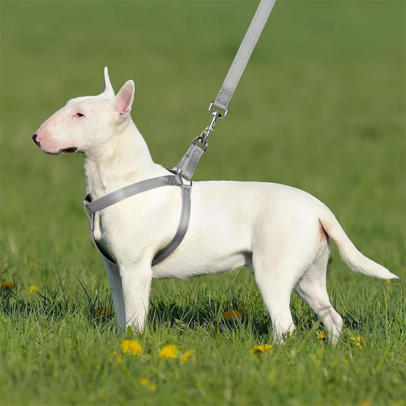 Custom Reflective Pet Harness Adjustable Anti escape Lightweight Pet Walking Harness Nylon Training Pet Webbing Factory Custom