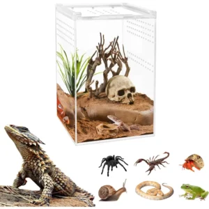 Custom Reptile Show Case Acrylic Reptile Enclosure Terrarium with Magnetic Button for Spider Reptiles Lizard