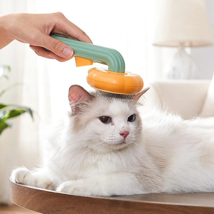 Custom Self Cleaning Pet Hair Remover Comb Pumpkin Dog Cat Bath Slicker High Shedding Massage Plastic Grooming Brush
