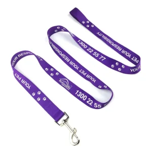 Custom Simple Durable Eco Friendly Polyester Pet Dog Leads Collars Harness Leashes with Metal Hook Buckle Accessory