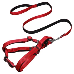 Custom Simple Durable Nylon Canvas Dog Collar and Leash Set for Walking with Small Dogs