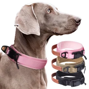 Custom Soft Pet No Pull Adjustable Metal Buckle Dog Harness Leash Set Tactical Training Nylon Dog Collar and Leash Set