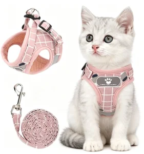 Custom Solid Eco Friendly Dog Harness Leash Buckle Closure Adjustable Pet Lovable Polyester Harness Leash for Small Medium XS