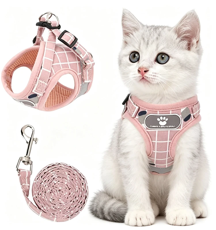 Custom Solid Eco Friendly Dog Harness Leash Buckle Closure Adjustable Pet Lovable Polyester Harness Leash for Small Medium XS