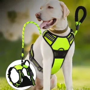 Custom Sport Nylon Reflective Dog Harnesses Adjustable Breathable Vest Style Chest Strap for Training