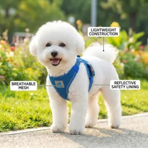 Custom Step in Dog Harness Reflective Breathable Mesh Pet Harness with Zinc Alloy D Ring for Puppy Small Medium Dogs