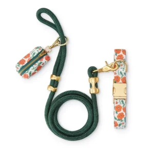 Custom Sublimation Printed Nylon Dog Collar and Leash Walk Set for Dog