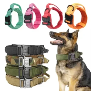 Custom Tactical Durable Nylon Solid Large Dog Training Collar with Quick Release Metal Buckle