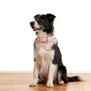 Custom Tag Vegan Leather Dog Collar & Leash Harness Luxury Metal Accessories Pet Set for Med Large Puppies