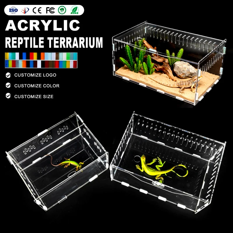 Custom Transparent Acrylic Reptile Enclosure Breeding Box Frog Spider Tarantula Insect Acrylic Reptile Cage