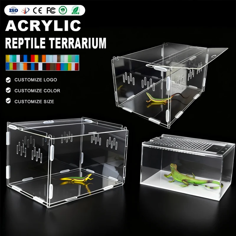 Custom Transparent Mantis Acrylic Reptile Feeding Box Insect Reptile Cage Terrarium Feeding Box