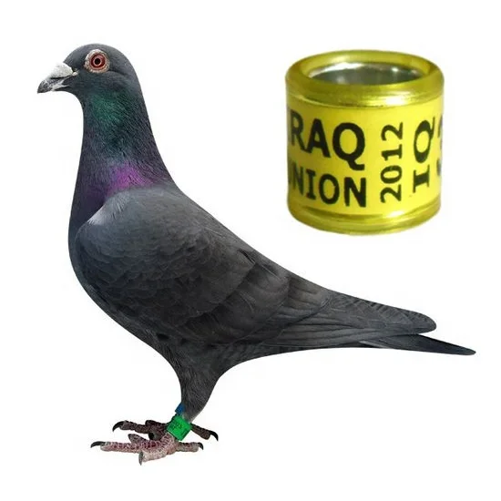 Customizable 8mm Aluminum Pigeon Ring Digital Foot Parrot Leg Rings with Plastic Bird Supplies Accessories for Outdoor Use