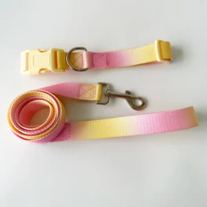 Customizable Breathable Polyester Dog Leash Harness Comfortable Pet Leashes and Collar Set for Dogs and Cats Solid