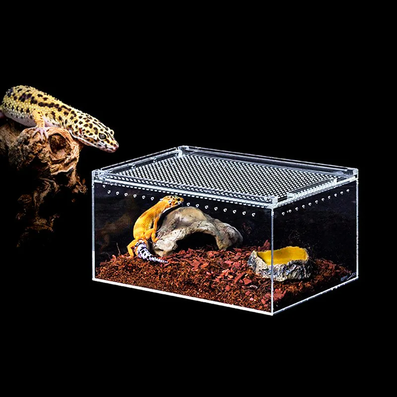 Customizable Climbing Terrarium Reptile Plastic Closed Case Cage Detachable Breathing Design Reptile Breeding Tank