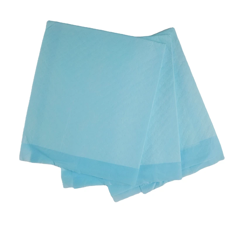 Customizable Disposable Dog Pee Pad Quick Absorbency Pet Training Diaper Factory Price with Free Sample