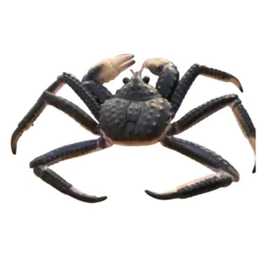 Customizable Durable Fiberglass Lobster and Crab Sculpture Exquisite Aquarium Animal Pattern Decoration