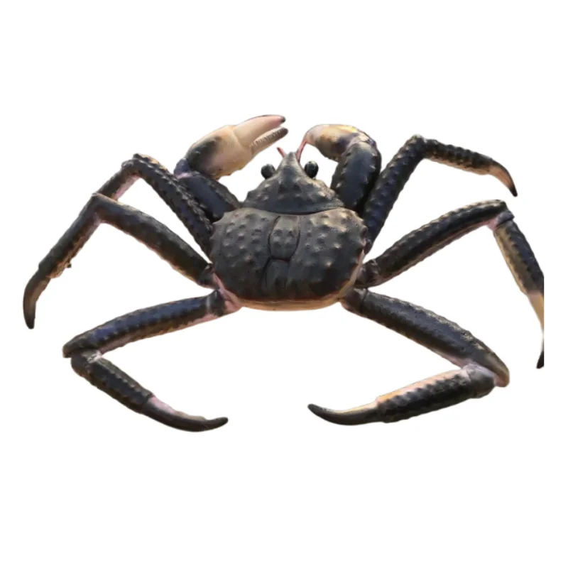 Customizable Durable Fiberglass Lobster and Crab Sculpture Exquisite Aquarium Animal Pattern Decoration