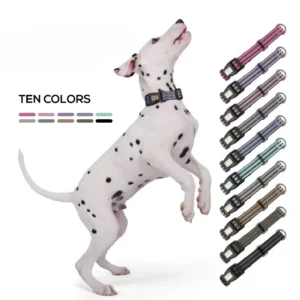 Customizable Pet Neck Collar for Large Medium Dogs Reflective Anti Lost Nylon Solid Cross Border Padded Engraving Features