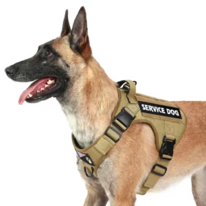 Customizable Tactical Dog Harness Durable Nylon No Pull Pet Harness for Walking Personalized Service by Factory