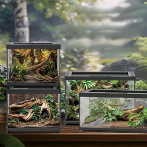 Customizable Transparent Feeding Box for Reptiles & Amphibians Cage Supplies