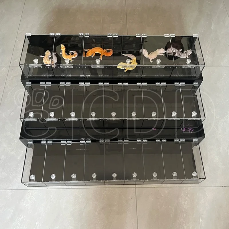 Customized 3-Layer Acrylic Snake Gecko Lizard Breeding Cage Reptile & Amphibian Supplies Enclosure for Showing