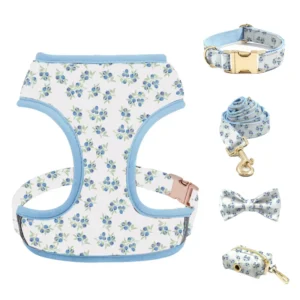 Customized Designs Fashion Small Medium Dog Vest Harness Leash Set with Durable Adjustable Padded Strap for Outdoor Use