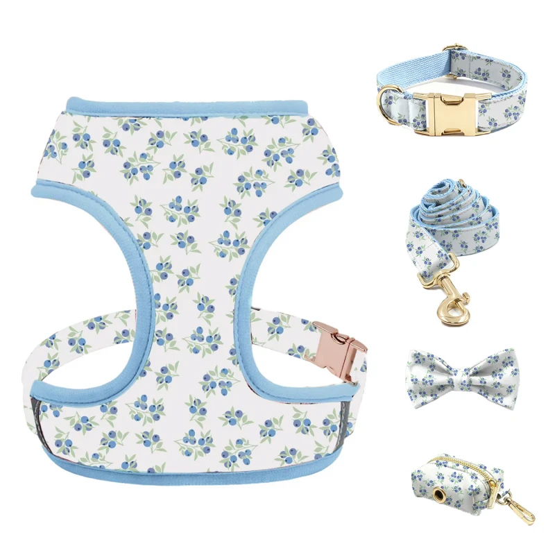 Customized Designs Fashion Small Medium Dog Vest Harness Leash Set with Durable Adjustable Padded Strap for Outdoor Use