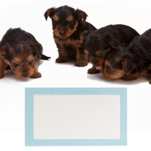 Customized Disposable Sanitary Training Pet Diapers Pet Training Supplies