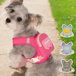 Customized Dog Harness Set Comfortable Adjustable Polyester Waterproof Training Collar Buckle Closure Pet