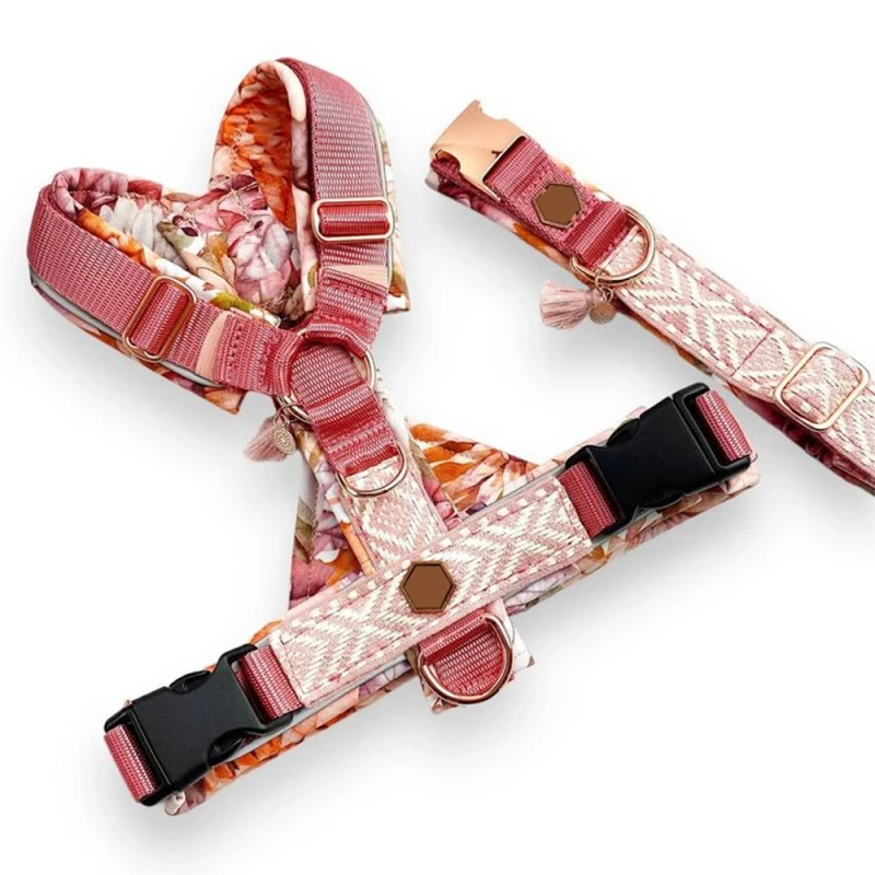 Customized Lightweight Pet Supplies Nylon No Pull Comfortable Padded Dog Harness Set for Medium Large Dogs