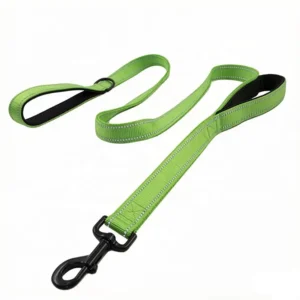 Customized Logo Dual Nylon Webbing Dog Collar 5 ft Lead Pet Leash
