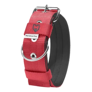Customized Luxury Neoprene Pet Collar High Grade Nylon for Outdoor Training Comfortable 5CM Widened Dog Collar Modern Cartoon