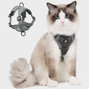 Customized Pet Cat Collar Adjustable Safe Pet Dog Harness Pet Collar Leash Breathable Dog Cat Leather