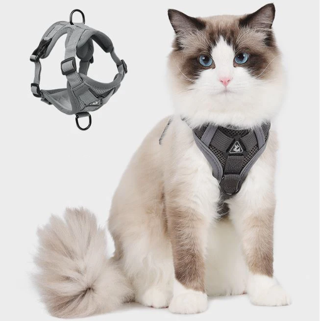 Customized Pet Cat Collar Adjustable Safe Pet Dog Harness Pet Collar Leash Breathable Dog Cat Leather
