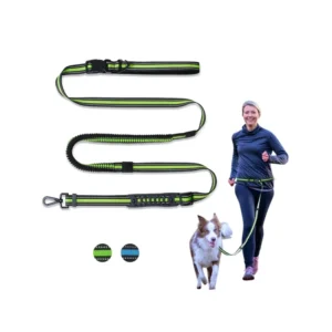 Customized Pet Collars and Leashes Striped Nylon with Reflective Feature Option Available