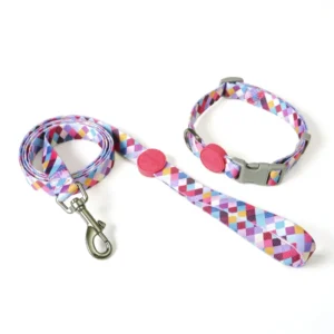 Customized Pet Training Supplies Dog Traction Ropes Pet Dog Leash Collar