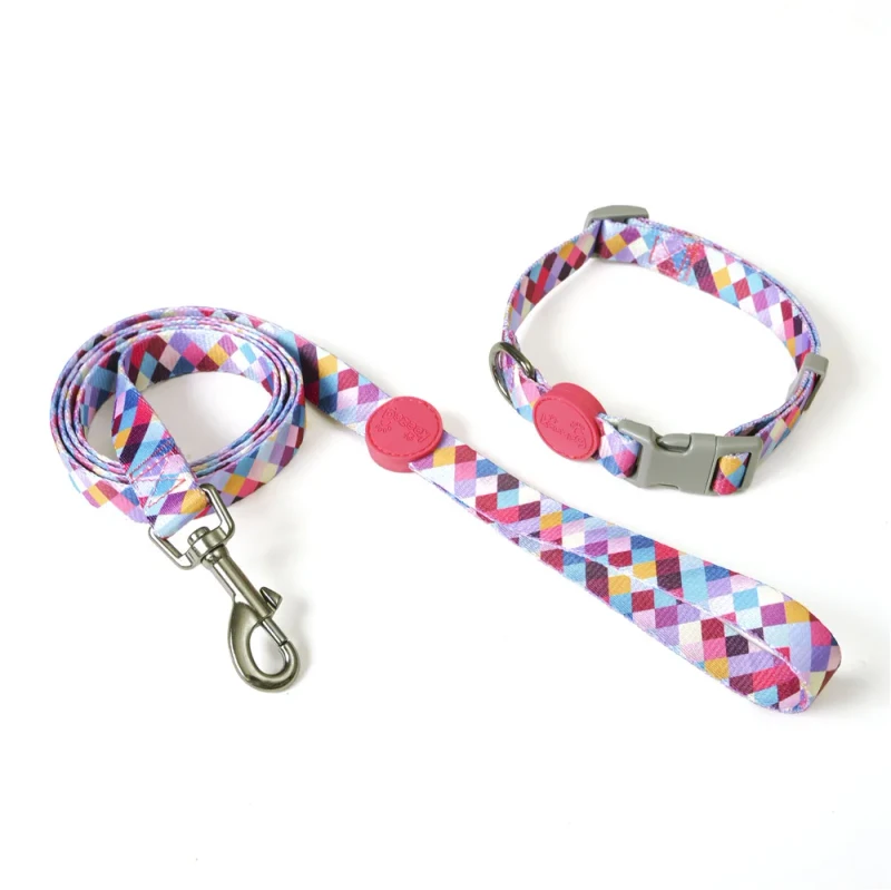 Customized Pet Training Supplies Dog Traction Ropes Pet Dog Leash Collar