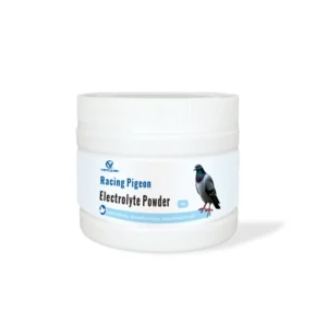 Customized Racing Pigeon Healthcare Products Electrolyte Powder for Pigeons Bird Supplies