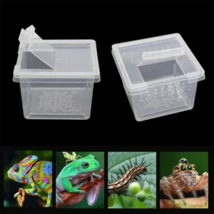 Customized Reptile Terrarium Ideal Habitat for Scorpion Spider Ants Chameleon Lizard Plastic Transparent Reptiles Living Box
